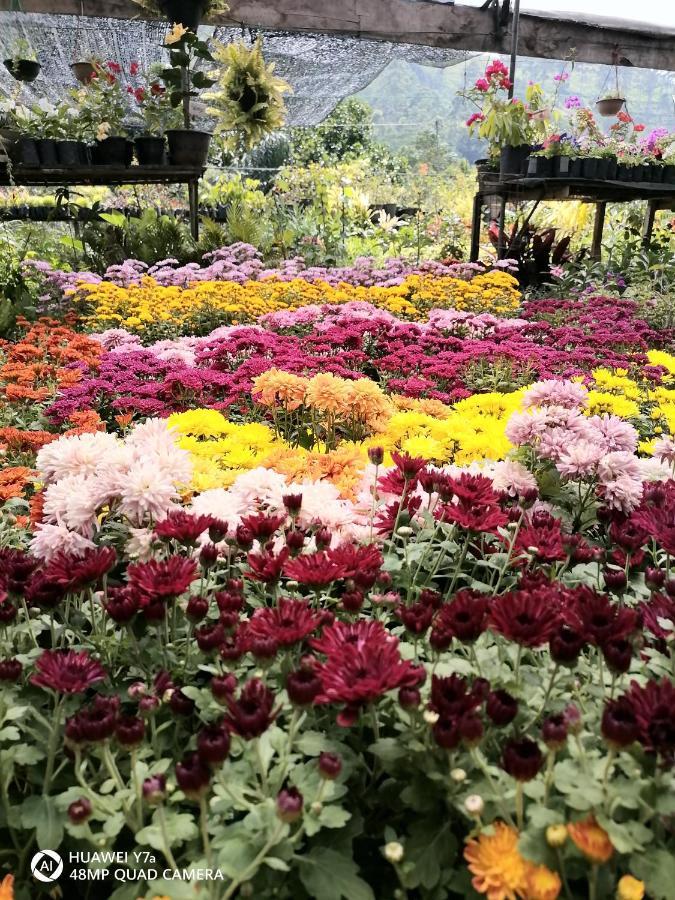 Flower Top Ella Εξωτερικό φωτογραφία